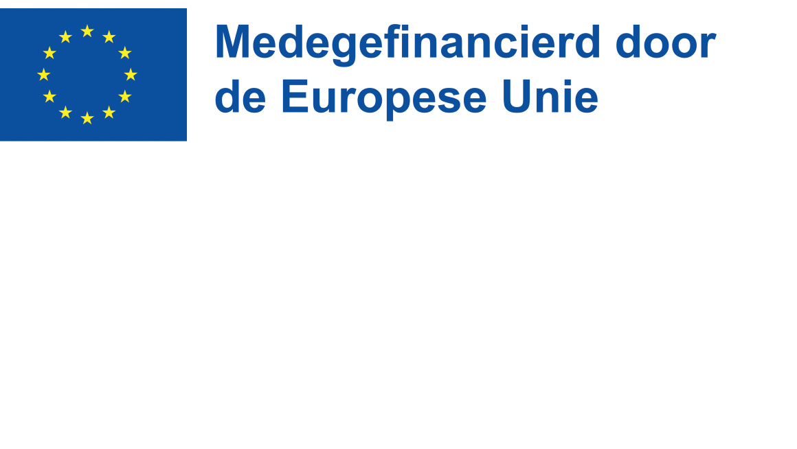 Logo met EU-vlag 